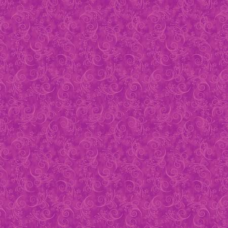 Fuchsia Equinox